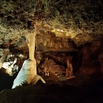 Inner Space Cavern - Tours Near Me - Georgetown, Texas Inner Space Cavern - Tours Near Me - Georgetown, Texas