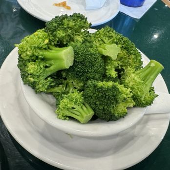 Gators Dockside - Lake Nona - Broccoli - Sports Bars Near Me - Lake Nona, Florida Gators Dockside - Lake Nona - Broccoli - Sports Bars Near Me - Lake Nona, Florida