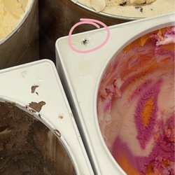 Dunkin' - Spider I'm talking about