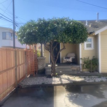 Celis Tree Service - Tree trim - Tree Services Near Me Celis Tree Service - Tree trim - Tree Services Near Me