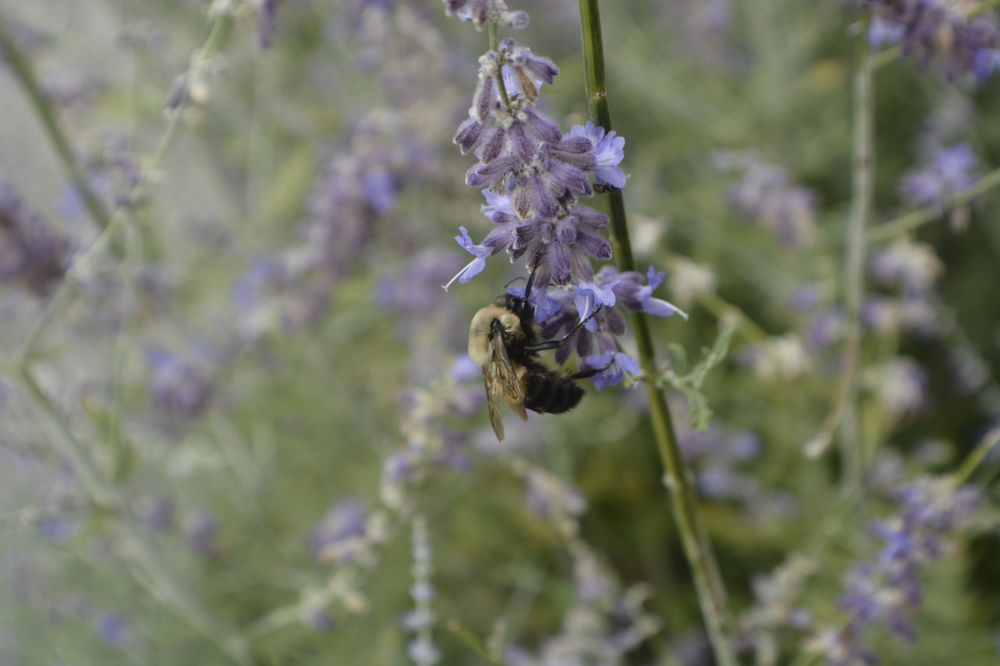 WEICHERT REALTORS WELCH & COMPANY Updated May 2024 120 Photos