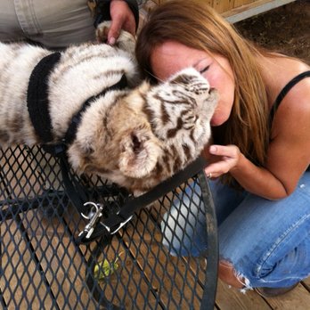 Antique Rose Florist - Rrrrrrrrrr!!! - Florists Near Me - Magnolia, Texas Antique Rose Florist - Rrrrrrrrrr!!! - Florists Near Me - Magnolia, Texas