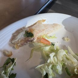Fish Taco