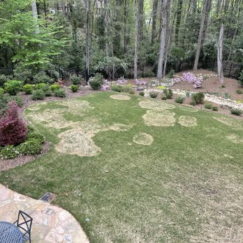 All Turf - a view of a garden - Lawn Services Near Me - Loganville, Georgia