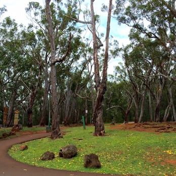 Aiea Loop Trail - Hiking Near Me - Aiea, Hawaii