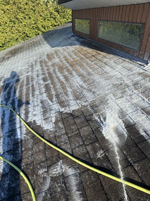 Pressure washing (Soft Wash) - Pressure Washing & Moss Removal Project
Our team recently provided comprehensive pressure washing and moss removal services for a residential property. Starting with a thorough assessment, we carefully treated all affected exterior surfaces, including driveways, walkways, siding, and roofing. Using professional-grade equipment, we effectively removed built-up dirt, grime, and organic growth without causing damage to the surfaces.
Special attention was given to moss removal, particularly on the roof, to prevent water damage and enhance the home's curb appeal. We utilized environmentally friendly treatments to inhibit future moss growth and ensure the area remains clean and safe. This project showcases our commitment to meticulous care, effective solutions, and customer satisfaction. Pressure washing (Soft Wash) - Pressure Washing & Moss Removal Project
Our team recently provided comprehensive pressure washing and moss removal services for a residential property. Starting with a thorough assessment, we carefully treated all affected exterior surfaces, including driveways, walkways, siding, and roofing. Using professional-grade equipment, we effectively removed built-up dirt, grime, and organic growth without causing damage to the surfaces.
Special attention was given to moss removal, particularly on the roof, to prevent water damage and enhance the home's curb appeal. We utilized environmentally friendly treatments to inhibit future moss growth and ensure the area remains clean and safe. This project showcases our commitment to meticulous care, effective solutions, and customer satisfaction.