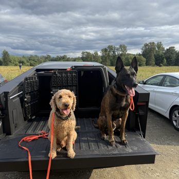 Everyday K9 Solutions - Pet Training Near Me - Edmonds, Washington Everyday K9 Solutions - Pet Training Near Me - Edmonds, Washington