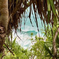 Views of the Ocean Along the Trail