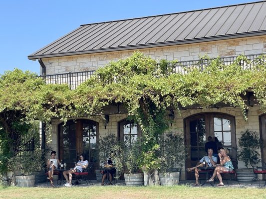 Valley Mills Vineyards by null