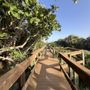 Photo of Bonsteel Park