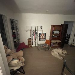 Petstop Li