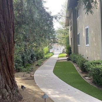 Escobedo Tree Service - Tree Services Near Me
