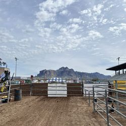 Lost Dutchman Days Rodeo - Rodeo from the participants side