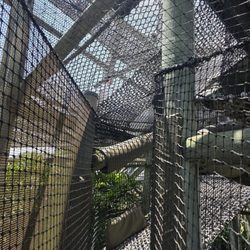 Camp Jurassic