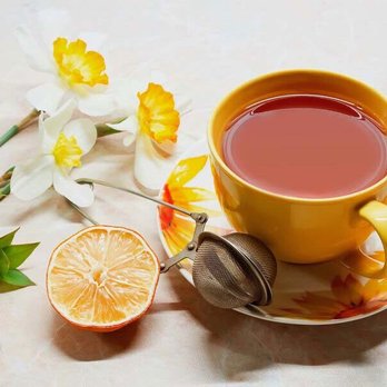 Premium Sweets & Restaurant - a cup of tea and a lemon - Bangladeshi Near Me - Bronx, New York Premium Sweets & Restaurant - a cup of tea and a lemon - Bangladeshi Near Me - Bronx, New York