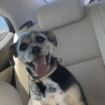 Petco - Pet Training Near Me - Albuquerque, New Mexico Petco - Pet Training Near Me - Albuquerque, New Mexico