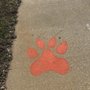Photo of Tiger Point Sports Association