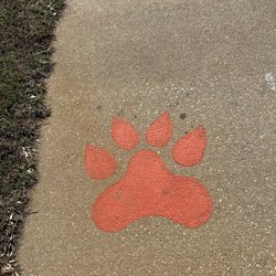 Tiger Point Sports Association