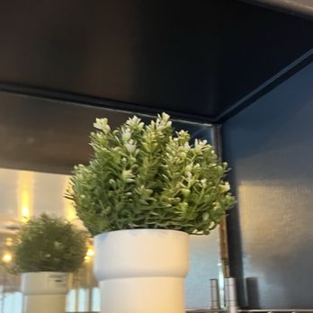 Union Square Pizza & Kitchen - Planted inside - Pizza Near Me - San Francisco, California Union Square Pizza & Kitchen - Planted inside - Pizza Near Me - San Francisco, California
