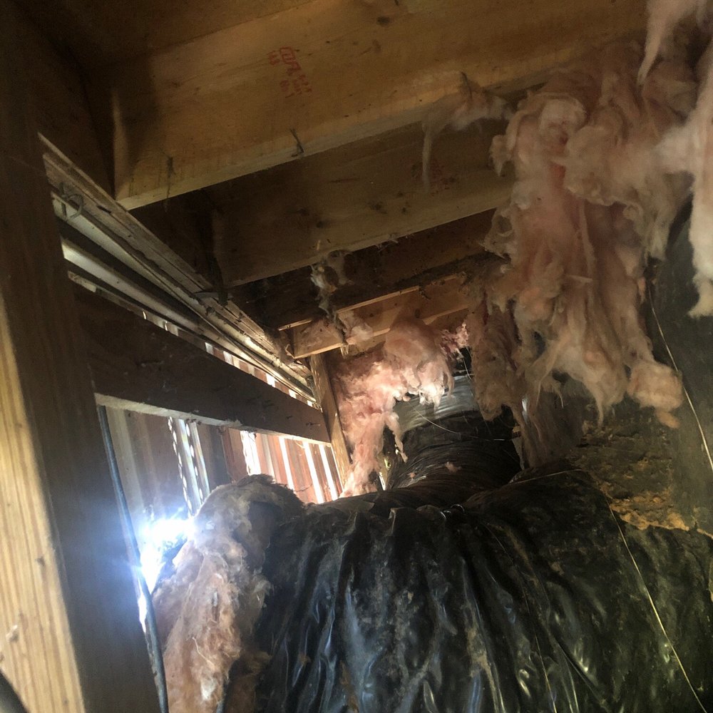 Bryan & Bryan Inspections - This is the underbelly of the house where the insulation was ripped down that the inspector didn't even look at. - Home Inspectors Near Me - Pearland, Texas