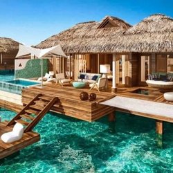 The Island Life Agency - We can take you wherever your heart desires.