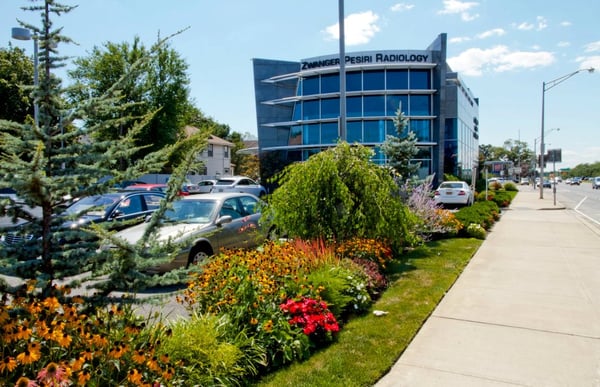 Paccione & Sons Landscaping