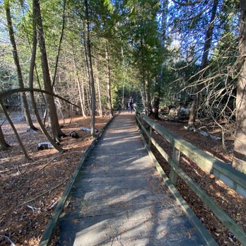 MacGregor Point Provincial Park - Walkway - Parks Near Me - Port Elgin, Ontario MacGregor Point Provincial Park - Walkway - Parks Near Me - Port Elgin, Ontario
