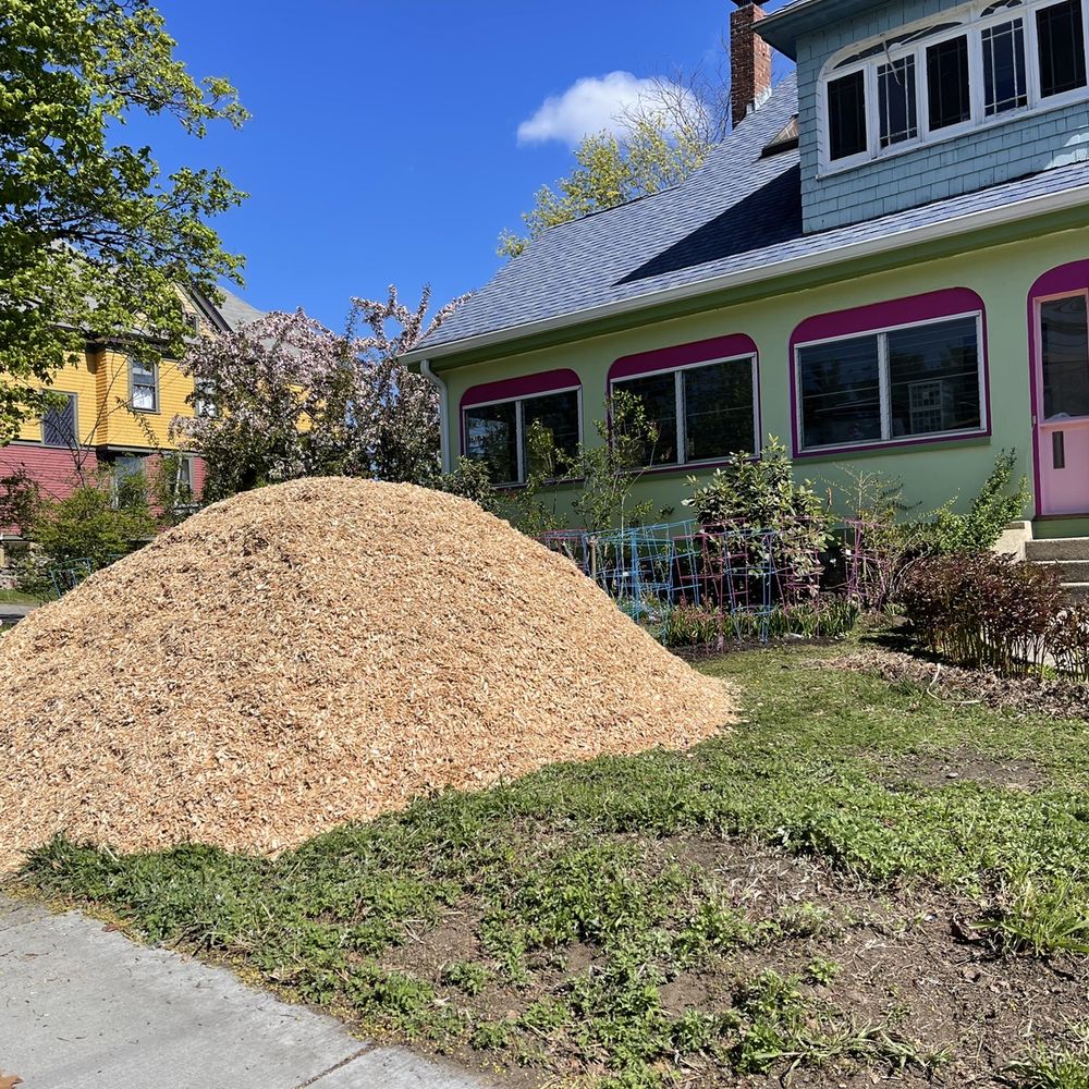 J & J Landscape Supply - delivered mulch perfectly in between peonies - Building Supplies Near Me - Waltham, Massachusetts J & J Landscape Supply - delivered mulch perfectly in between peonies - Building Supplies Near Me - Waltham, Massachusetts