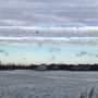 Photo of North Water Front Park