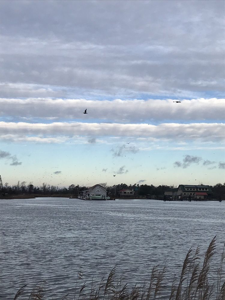 North Water Front Park Image