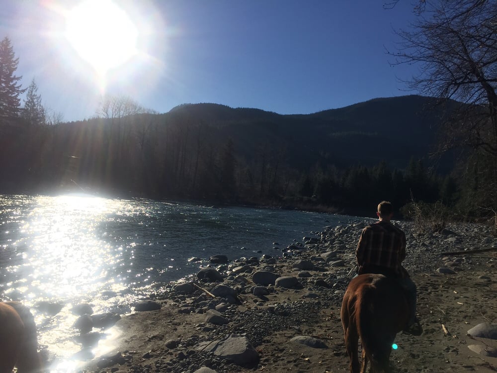 SKYLAND RANCH Updated June 2024 22 Photos 43100 Reiter Rd, Gold