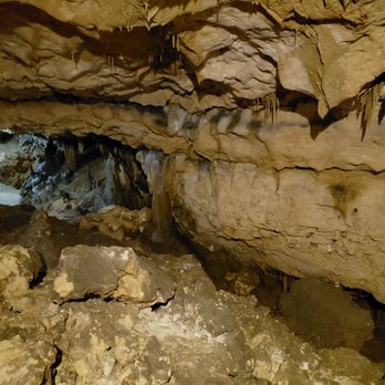 Florida Caverns State Park - Parks Near Me - Marianna, Florida Florida Caverns State Park - Parks Near Me - Marianna, Florida