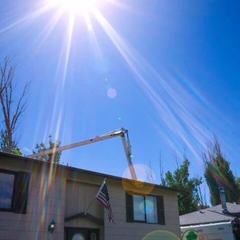 All Trees - Tree Services Near Me - Casper, Wyoming All Trees - Tree Services Near Me - Casper, Wyoming