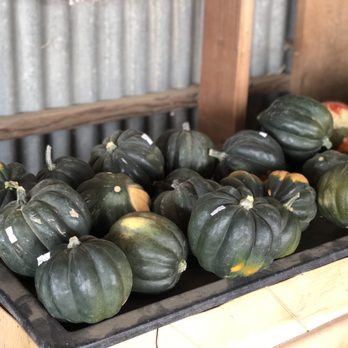 Silveyville Christmas Tree Farm - 10/03/2020: Pumpkin selections - Christmas Trees Near Me - Dixon, California Silveyville Christmas Tree Farm - 10/03/2020: Pumpkin selections - Christmas Trees Near Me - Dixon, California