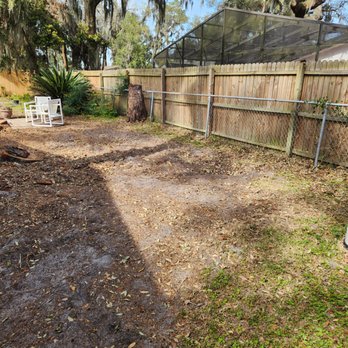 Sunset Tree Care - Tree Services Near Me Sunset Tree Care - Tree Services Near Me