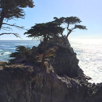 The Lone Cypress - Landmarks & Historical Buildings Near Me - Del Monte Forest, California