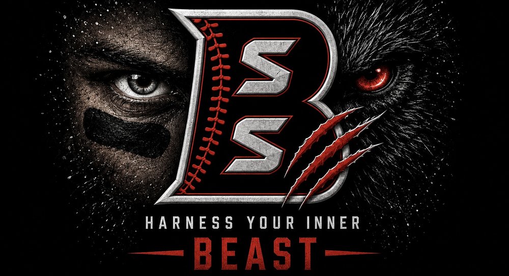 Silently Savage Baseball Logo