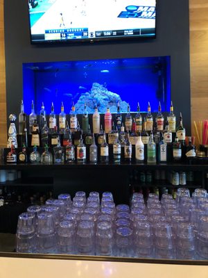 The Aquarium on 6th by null
