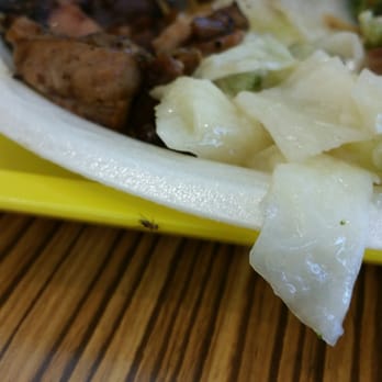 Tobu - Terrible. Had to toss it out. Old food, Flies on food since on counter, Food only warm. Wilted cabbage and broccoli. - Japanese Near Me - Boca Raton, Florida Tobu - Terrible. Had to toss it out. Old food, Flies on food since on counter, Food only warm. Wilted cabbage and broccoli. - Japanese Near Me - Boca Raton, Florida