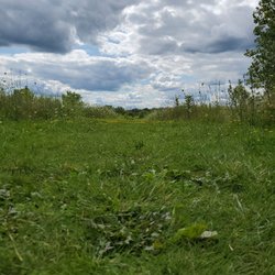 Milwaukee County Indoor Sports Complex - 8th fairway disc golf