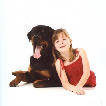 The k9BOSS Training - Family Portrait. - Pet Training Near Me