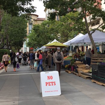 Farmers' Market - no pets sign on the sidewalk - Farmers Market Near Me - Cupertino, California Farmers' Market - no pets sign on the sidewalk - Farmers Market Near Me - Cupertino, California