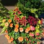 Photo of Designs By Linda