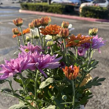 The Home Depot - Nurseries & Gardening Near Me - Glendora, California