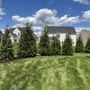 Photo of Train of Manakin Landscaping