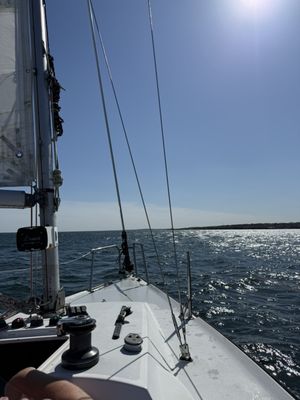 Newport Sailing School and Tours by null