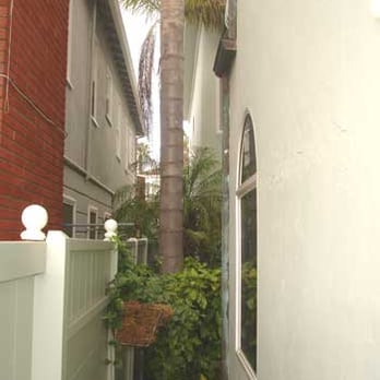 Natural Green Tree Care - Tree Services Near Me - Santa Ana, California Natural Green Tree Care - Tree Services Near Me - Santa Ana, California