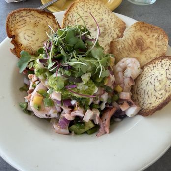 Marina Cantina - Ceviche - Seafood Near Me - Clearwater Beach, Florida