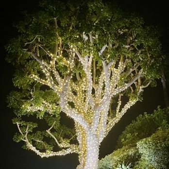 OC Holiday Lighting - Holiday Decorating Services Near Me OC Holiday Lighting - Holiday Decorating Services Near Me