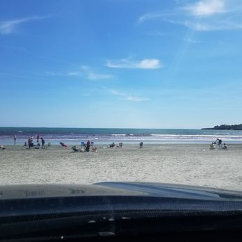 Easton's Beach - Red seaweed. Not dangerous - Beaches Near Me - Newport, Rhode Island